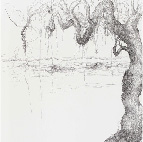 Lin Guocheng, Geometry & Growth, Pen and Ink on Paper, 180cm x 120cm, 2011